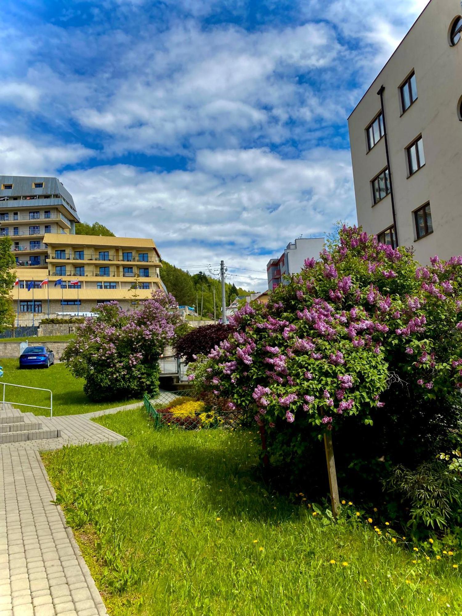 Cristal - Zdroj Krynica Zdroj
